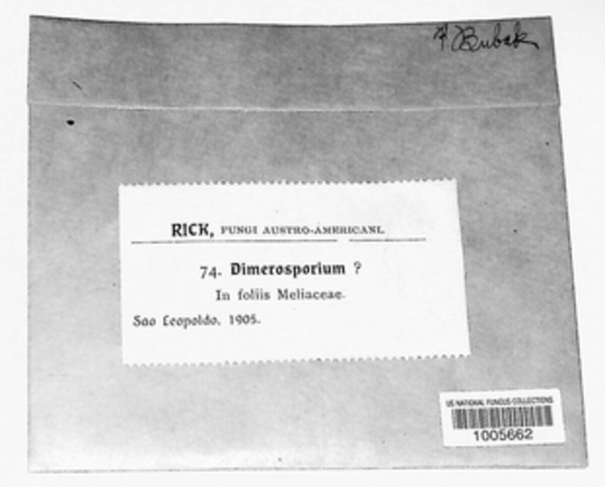 Dimerosporium image